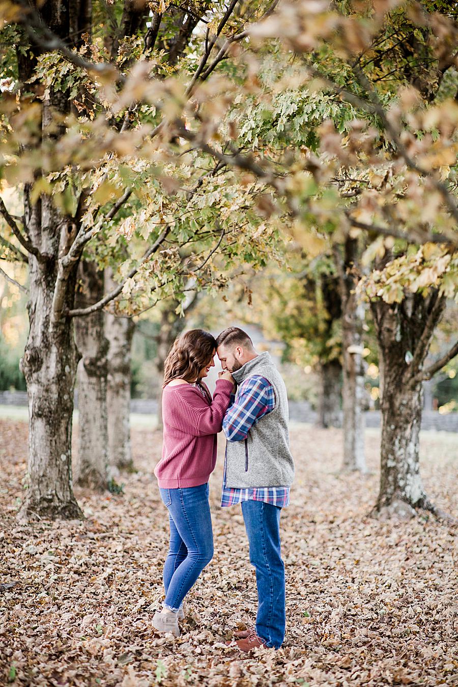 Kiss on the hand by Knoxville Wedding Photographer, Amanda May Photos.