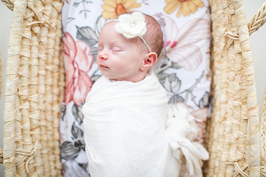 Flower headband at this lifestyle newborn by Knoxville Wedding Photographer, Amanda May Photos.