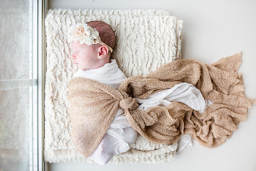 Tan cheesecloth newborn wrap at this lifestyle newborn by Knoxville Wedding Photographer, Amanda May Photos.