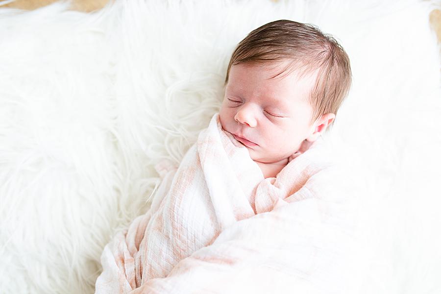 Newborn girl at this newborn session by Knoxville Wedding Photographer, Amanda May Photos.