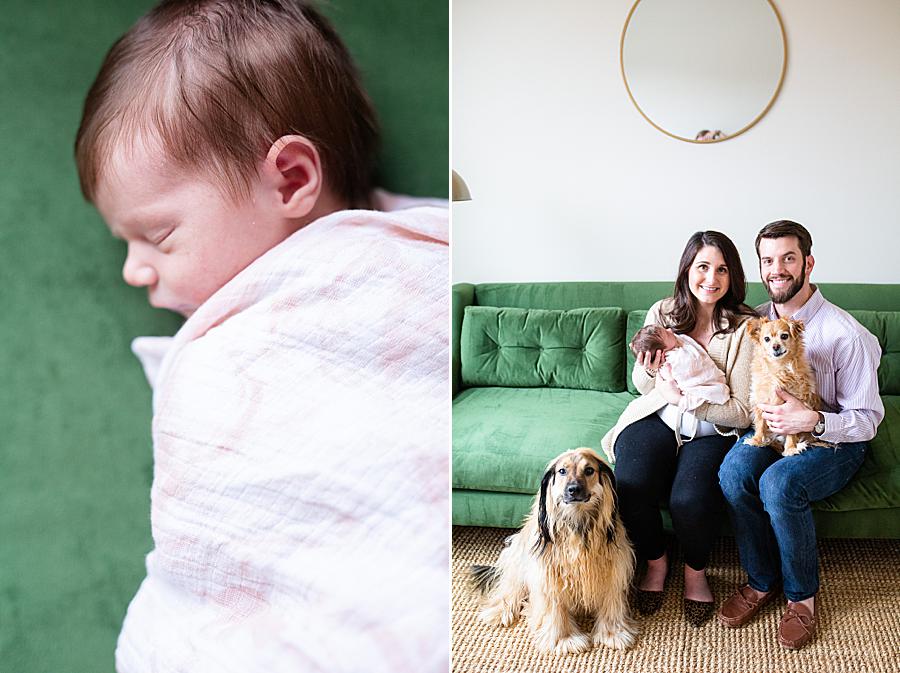 Velvet green sofa at this newborn session by Knoxville Wedding Photographer, Amanda May Photos.