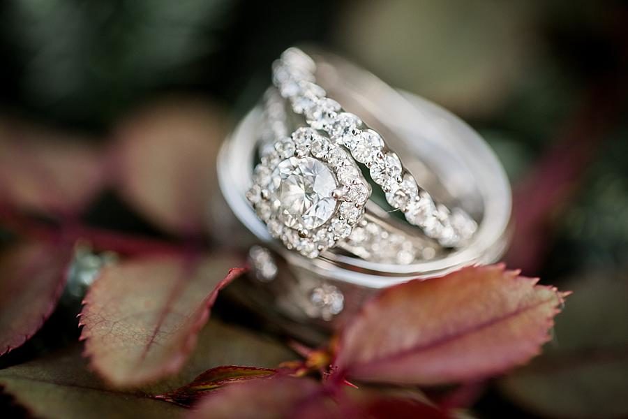The rings at this Parkside Resort Destination Wedding by Knoxville Wedding Photographer, Amanda May Photos.