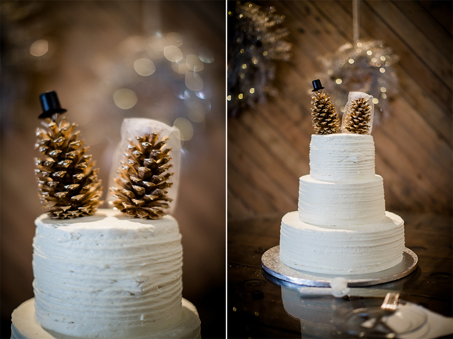 Wedding cake with pine cones detail picture at this winter wedding at Knoxville Wedding Venue, Jackson Terminal, by Knoxville Wedding Photographer, Amanda May Photos.