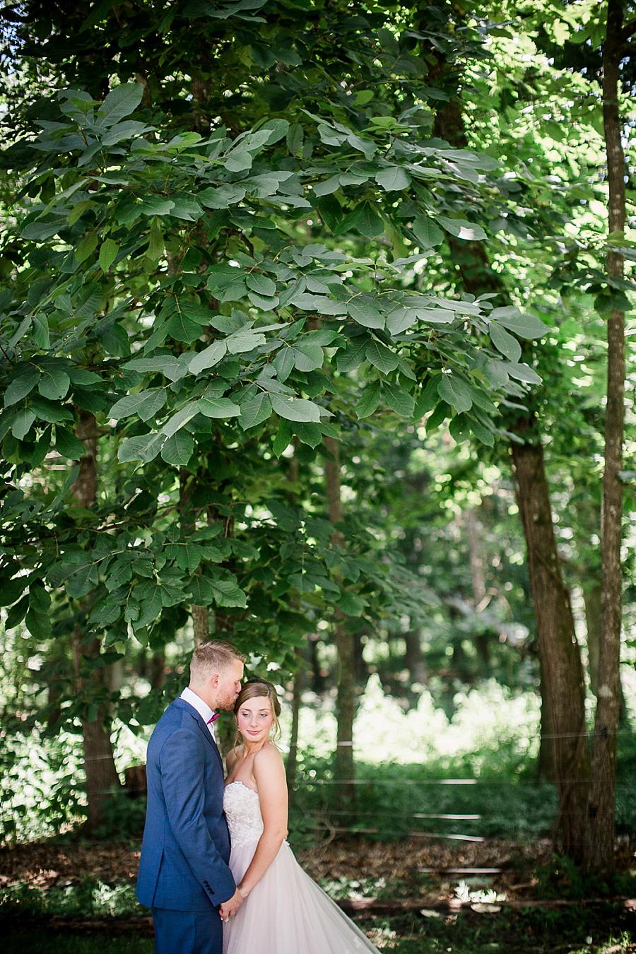 Kissing the side of her head at this RiverView Family Farm Wedding by Knoxville Wedding Photographer, Amanda May Photos.