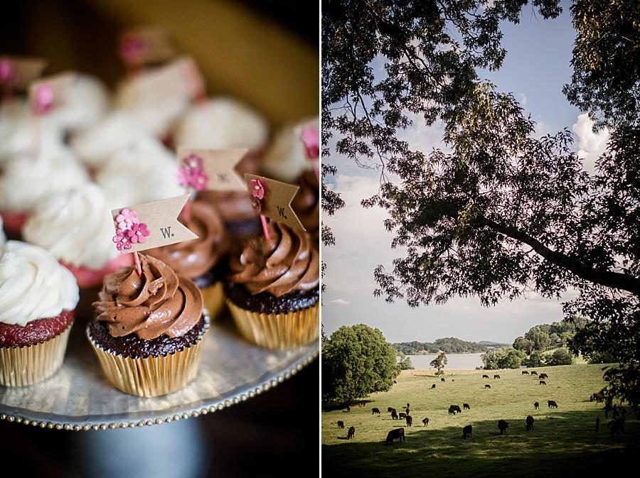 Chocolate cupcakes at this RiverView Family Farm Wedding by Knoxville Wedding Photographer, Amanda May Photos.