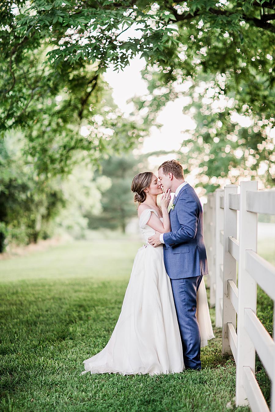 Sunset photos at this Marblegate Farm Wedding by Knoxville Wedding Photographer, Amanda May Photos.