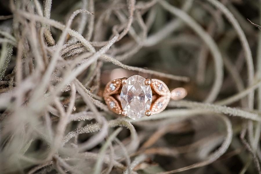 Engagement ring in spanish moss at this Air Force Engagement Session by Knoxville Wedding Photographer, Amanda May Photos.