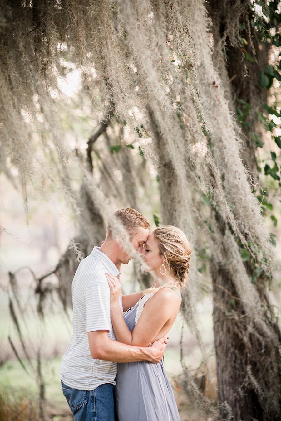 In the moss at this Air Force Engagement Session by Knoxville Wedding Photographer, Amanda May Photos.