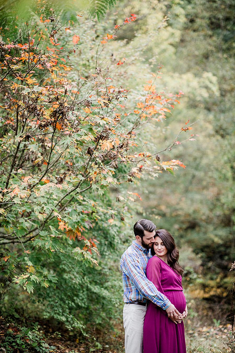Snuggling at this Natchez Trace Glen Maternity by Knoxville Wedding Photographer, Amanda May Photos.