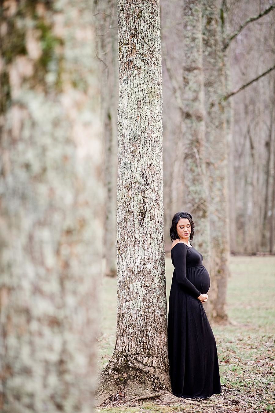 Tall trees by Knoxville Wedding Photographer, Amanda May Photos.
