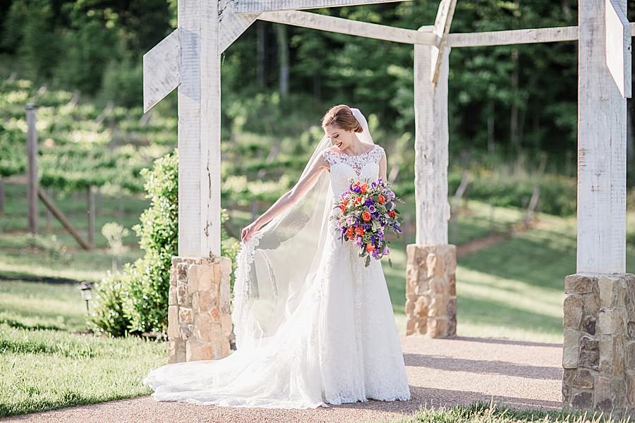 Rustic archway at this Ramble Creek Bridal session by Knoxville Wedding Photographer, Amanda May Photos.