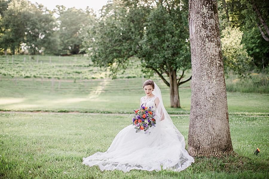 Sitting pose at this Ramble Creek Bridal session by Knoxville Wedding Photographer, Amanda May Photos.