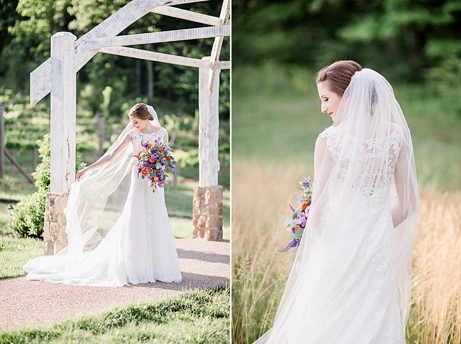 Cathedral veil at this Ramble Creek Bridal session by Knoxville Wedding Photographer, Amanda May Photos.