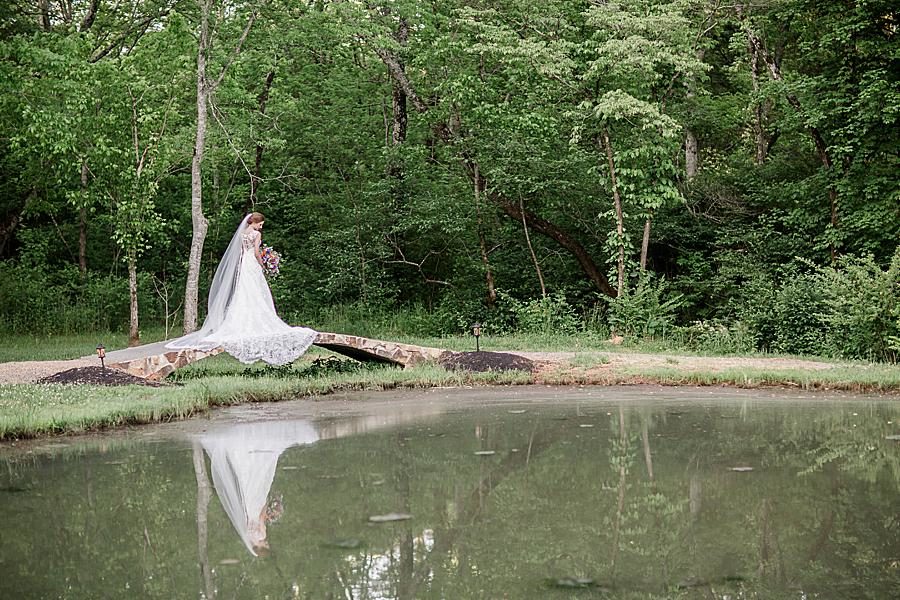 Long train at this Ramble Creek Bridal session by Knoxville Wedding Photographer, Amanda May Photos.