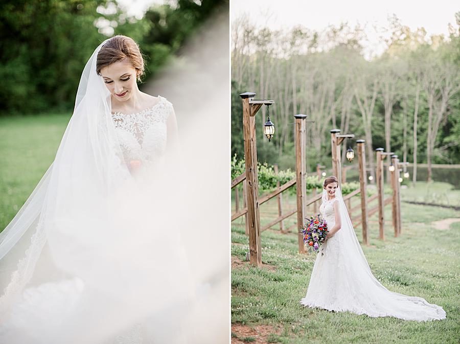 Intricate veil at this Ramble Creek Bridal session by Knoxville Wedding Photographer, Amanda May Photos.