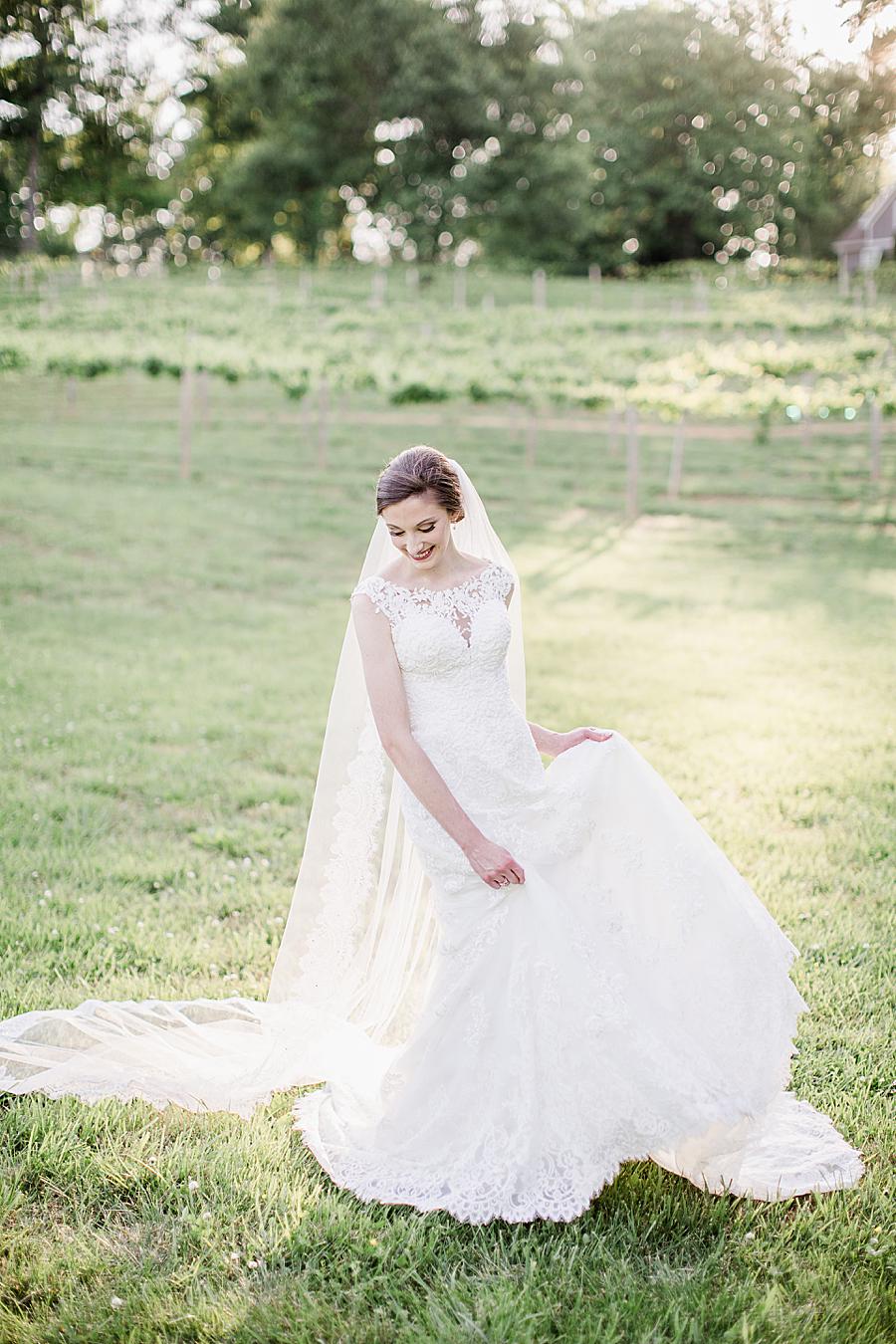 Twirling pose at this Ramble Creek Bridal session by Knoxville Wedding Photographer, Amanda May Photos.