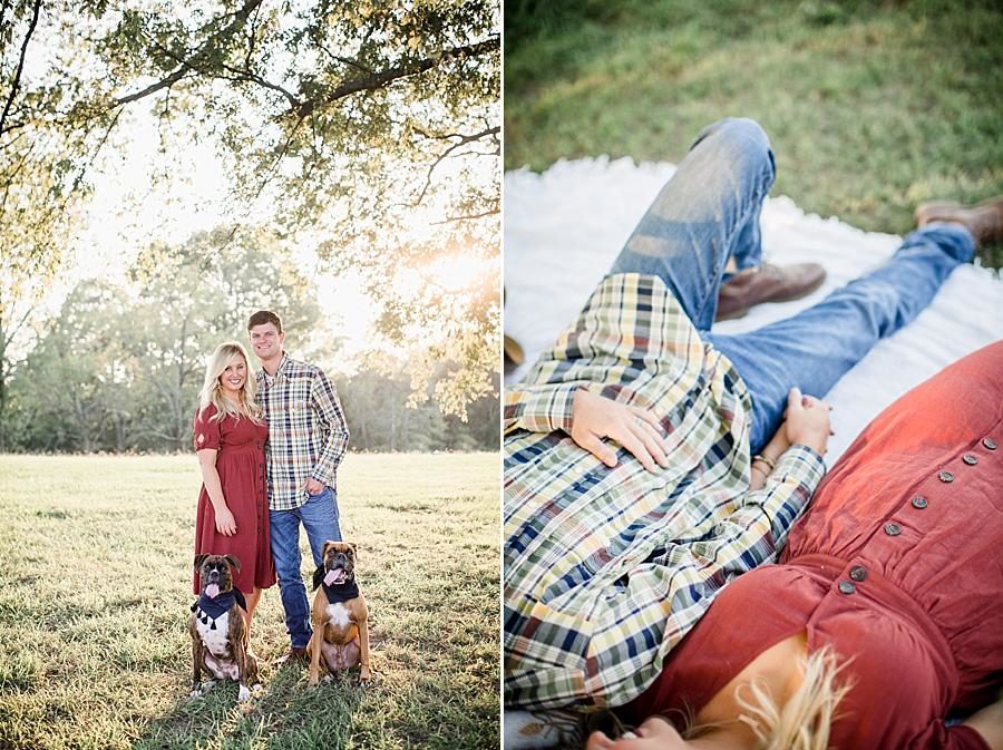 Boxer dogs at this Spout Springs Vineyard Family Session by Knoxville Wedding Photographer, Amanda May Photos.
