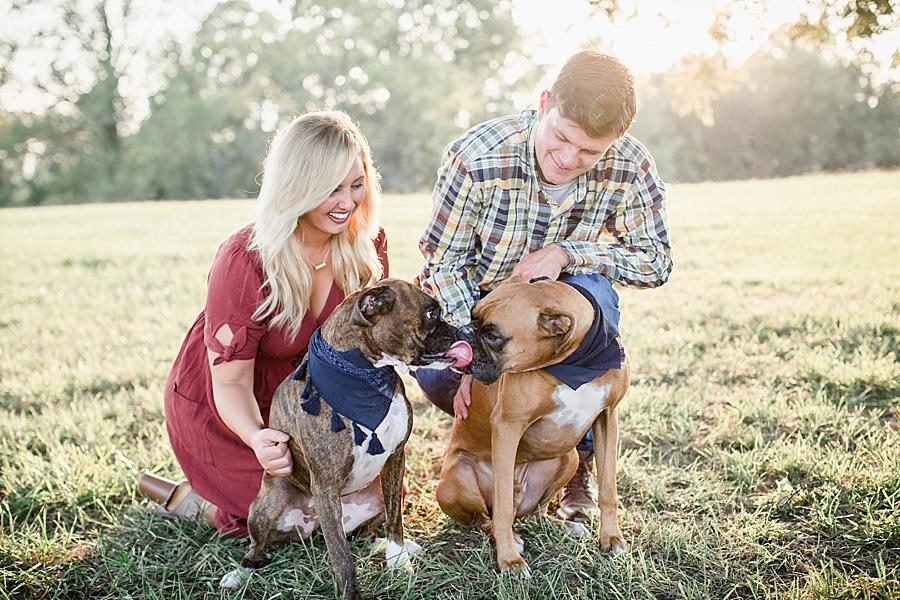 Puppy kisses at this Spout Springs Vineyard Family Session by Knoxville Wedding Photographer, Amanda May Photos.
