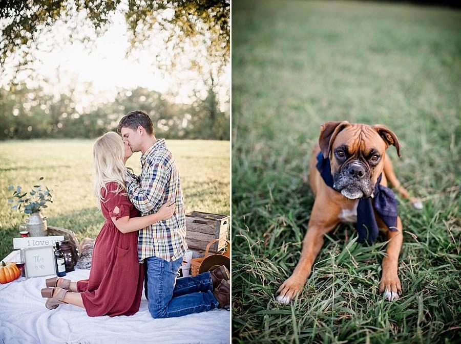 This is us sign at this Spout Springs Vineyard Family Session by Knoxville Wedding Photographer, Amanda May Photos.