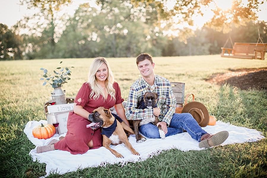 Wooden swing at this Spout Springs Vineyard Family Session by Knoxville Wedding Photographer, Amanda May Photos.