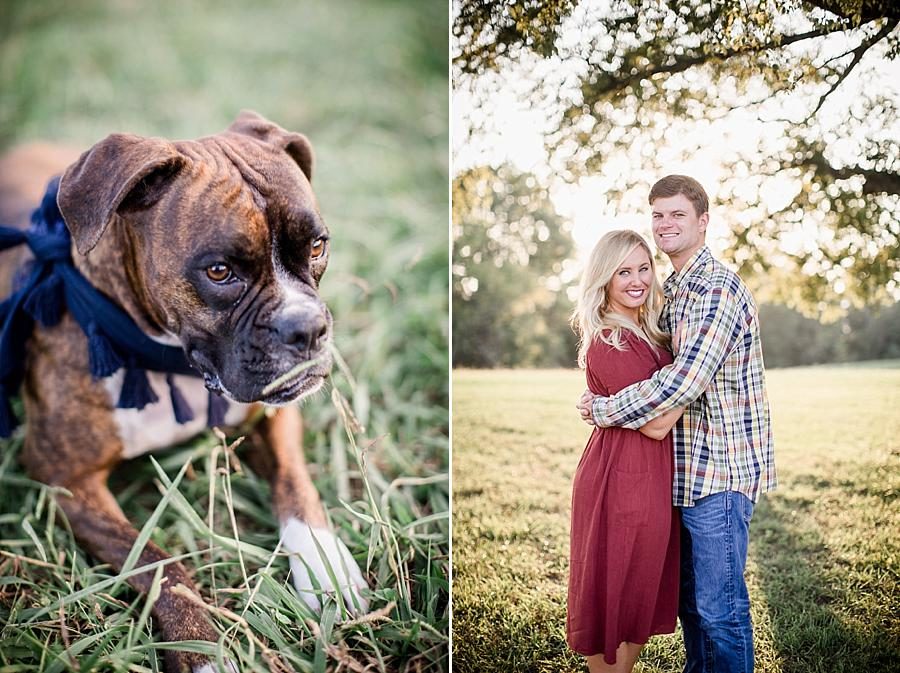 Navy blue bandana at this Spout Springs Vineyard Family Session by Knoxville Wedding Photographer, Amanda May Photos.