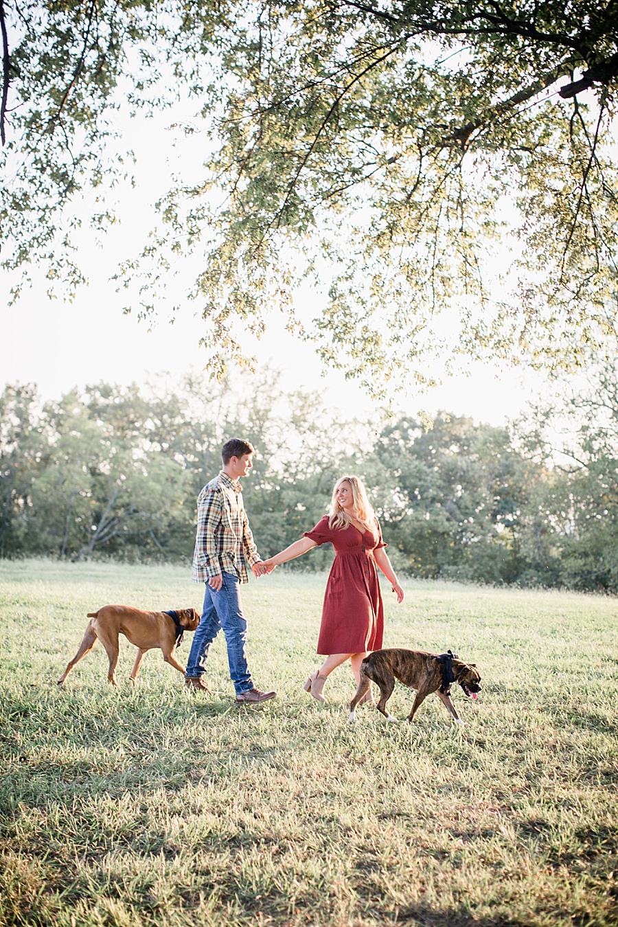 Holding hands at this Spout Springs Vineyard Family Session by Knoxville Wedding Photographer, Amanda May Photos.