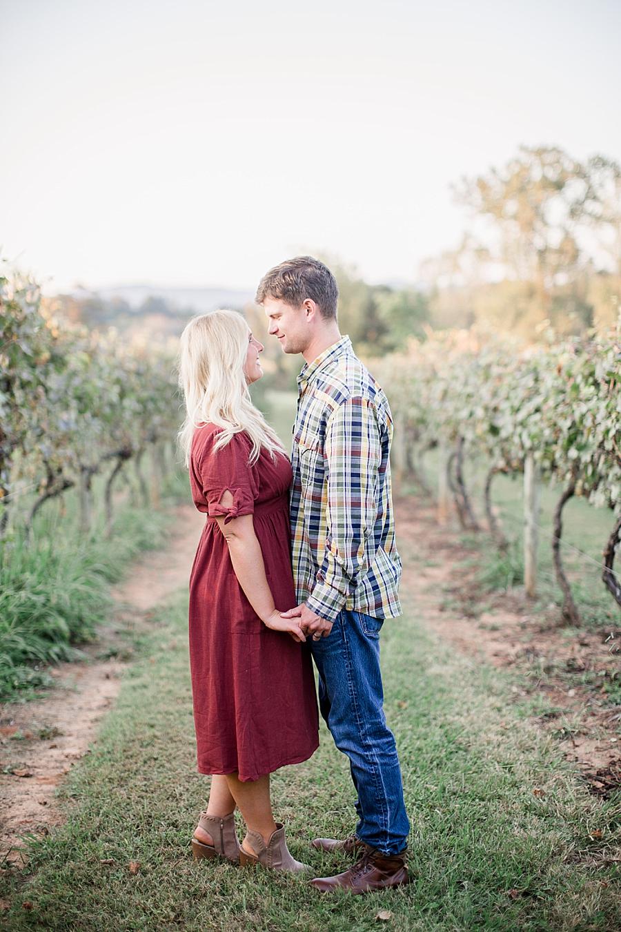 Among the grapes at this Spout Springs Vineyard Family Session by Knoxville Wedding Photographer, Amanda May Photos.