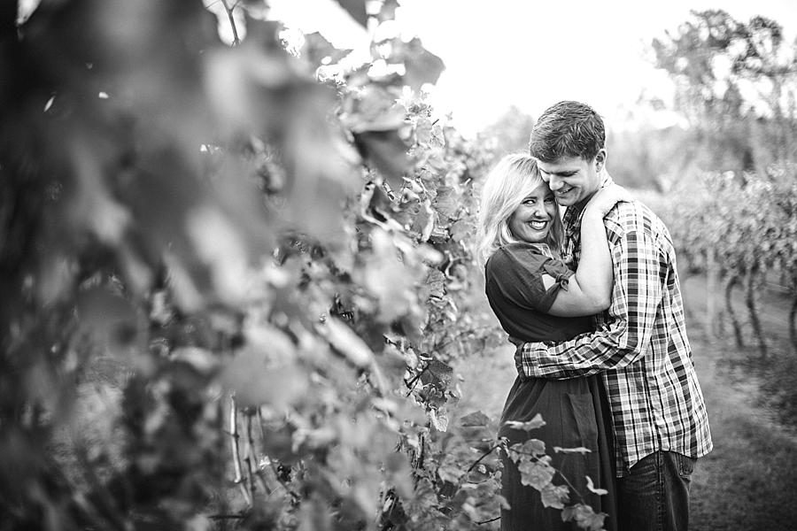 Grape leaves at this Spout Springs Vineyard Family Session by Knoxville Wedding Photographer, Amanda May Photos.