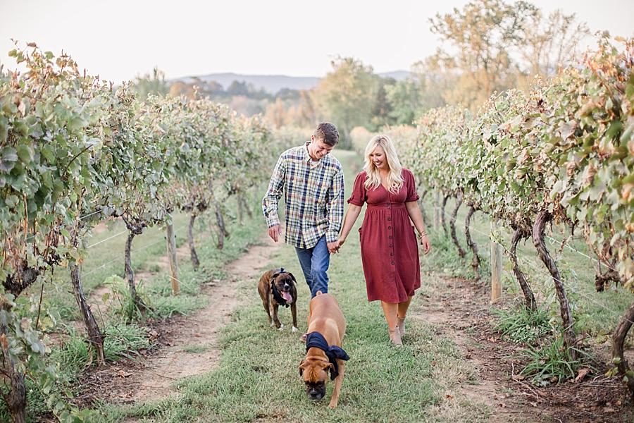 Running through the vines at this Spout Springs Vineyard Family Session by Knoxville Wedding Photographer, Amanda May Photos.