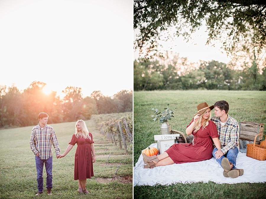 Sunset at this Spout Springs Vineyard Family Session by Knoxville Wedding Photographer, Amanda May Photos.