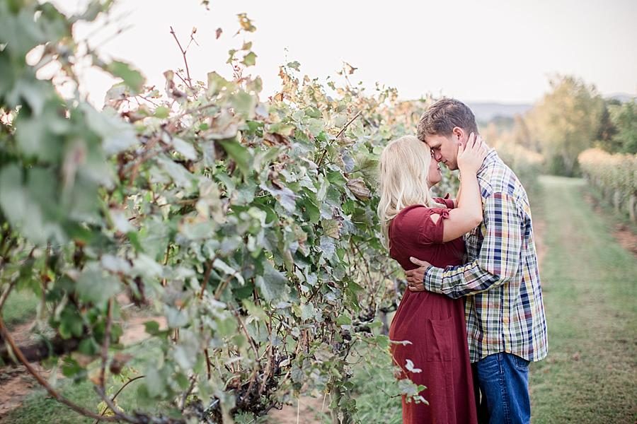 With the grapes at this Spout Springs Vineyard Family Session by Knoxville Wedding Photographer, Amanda May Photos.