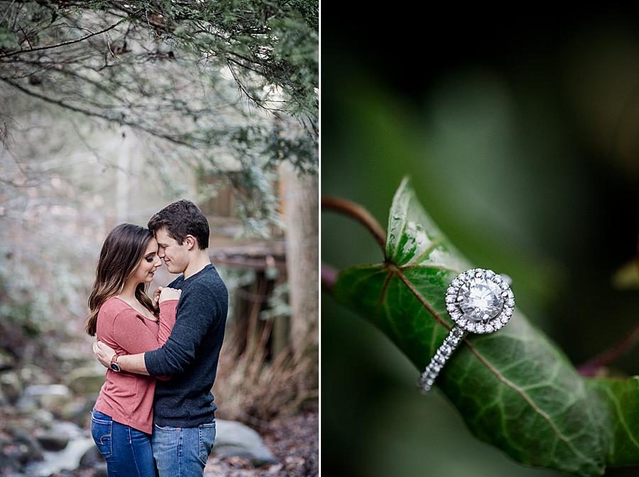 Engagement ring at this Smoky Mountain Engagement by Knoxville Wedding Photographer, Amanda May Photos.