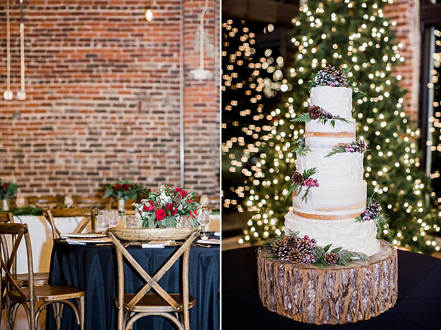 Pine cones on wedding cake by Knoxville Wedding Photographer, Amanda May Photos.