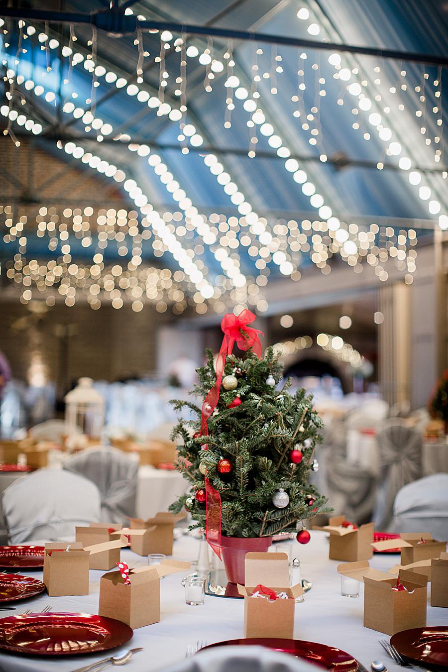 Mini Christmas trees at this The Foundry Wedding by Knoxville Wedding Photographer, Amanda May Photos.