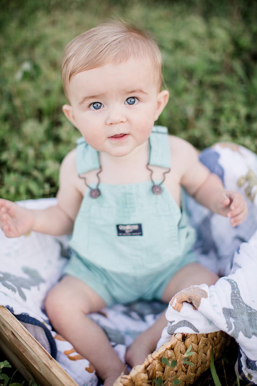 Blue eyes at this Meads Quarry 9 month photos session by Knoxville Wedding Photographer, Amanda May Photos.