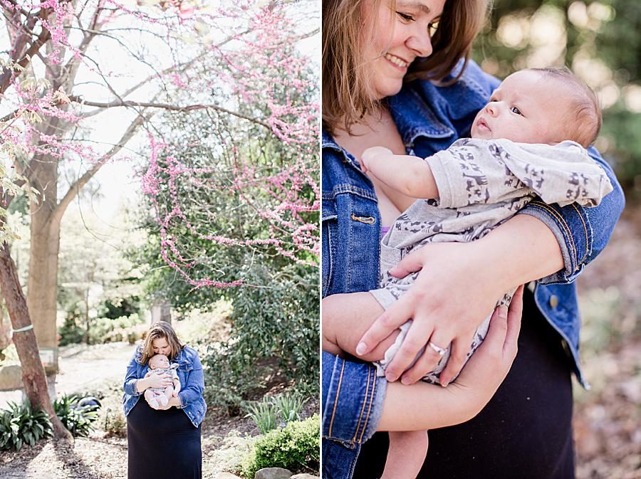 Eastern Redbud at this Hope Resource Session by Knoxville Wedding Photographer, Amanda May Photos.