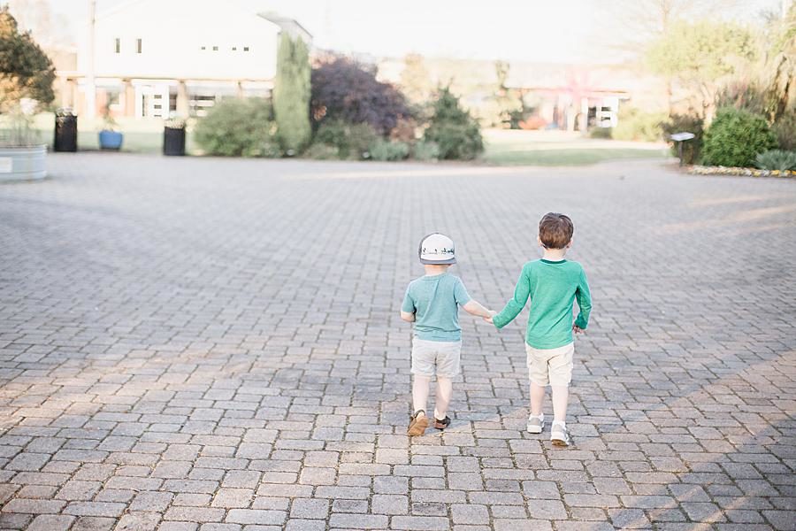 Holding hands at this Mommy & Me Session by Knoxville Wedding Photographer, Amanda May Photos.