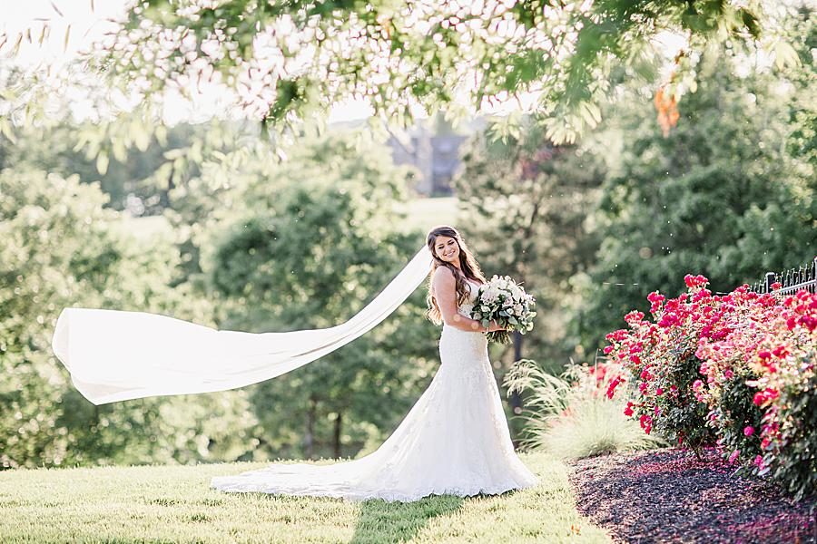 Long, flowing veil at this WindRiver Bridal Portraits by Knoxville Wedding Photographer, Amanda May Photos.
