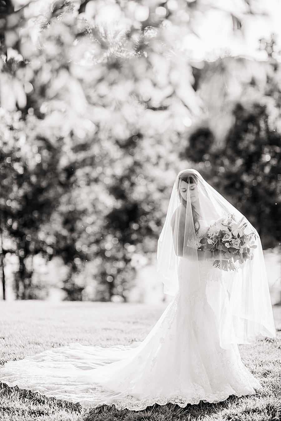 Black and white bridal portrait at this WindRiver Bridal Portraits by Knoxville Wedding Photographer, Amanda May Photos.