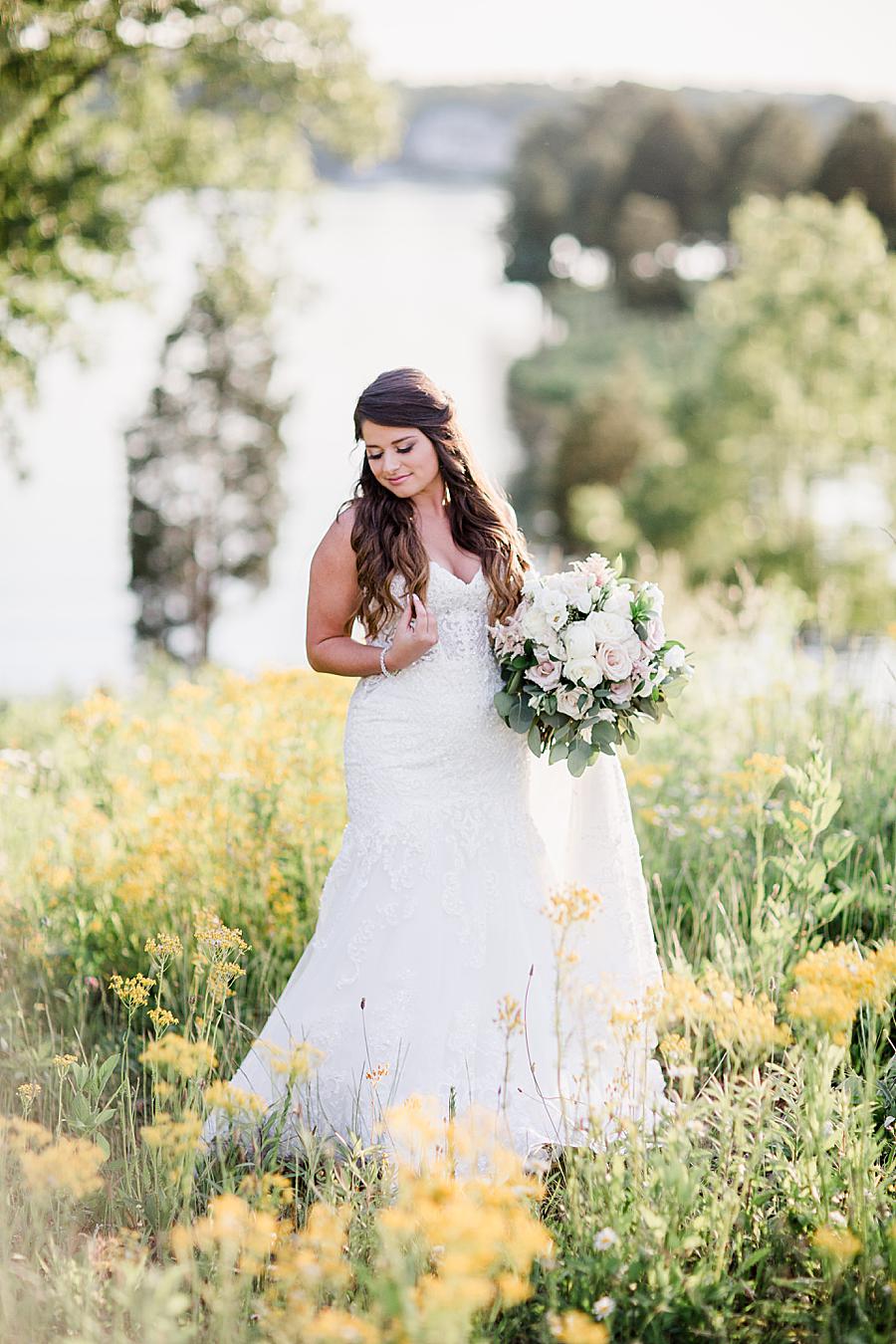 Corseted wedding gown at this WindRiver Bridal Portraits by Knoxville Wedding Photographer, Amanda May Photos.