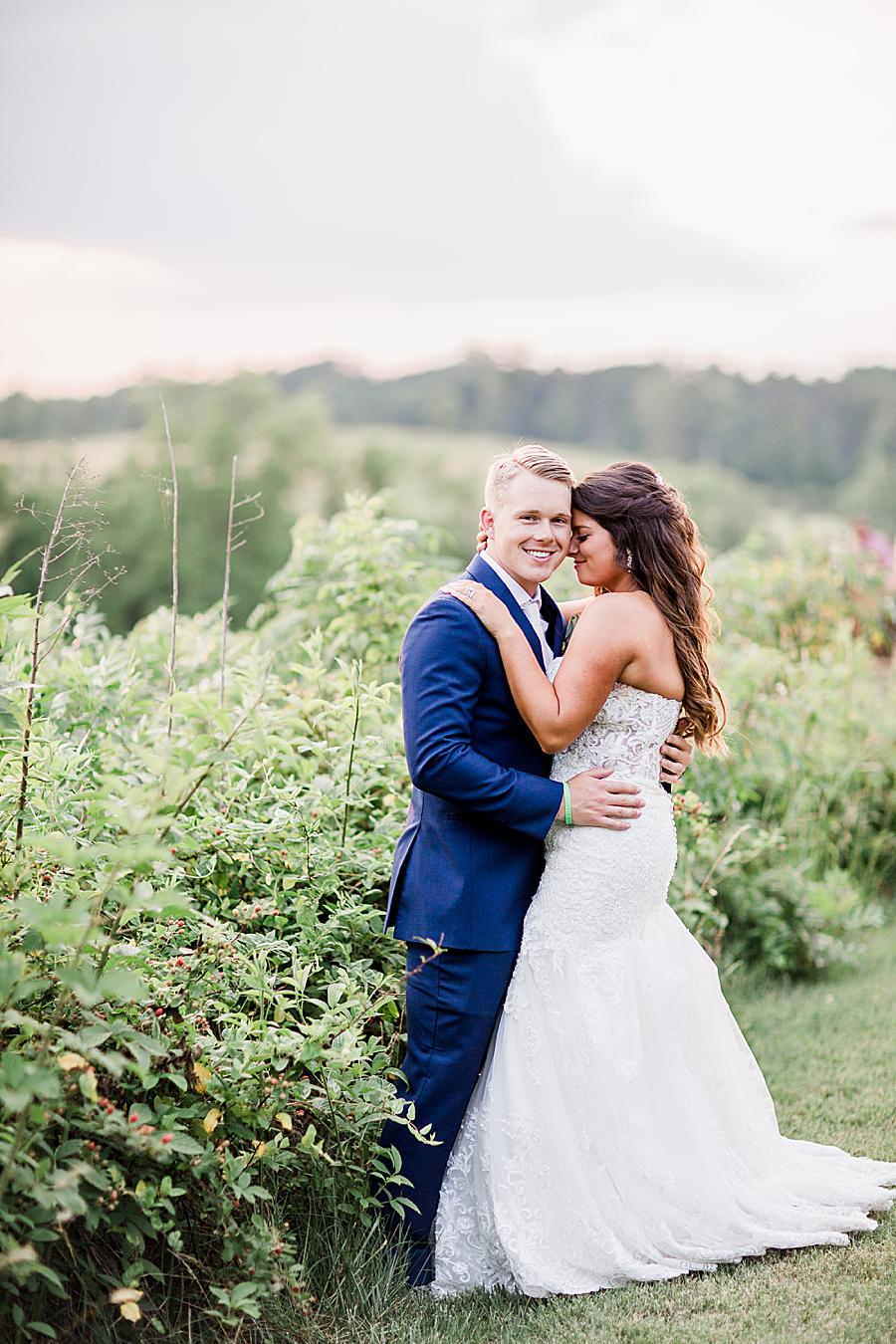 Golden hour pictures at this WindRiver Wedding Day by Knoxville Wedding Photographer, Amanda May Photos.