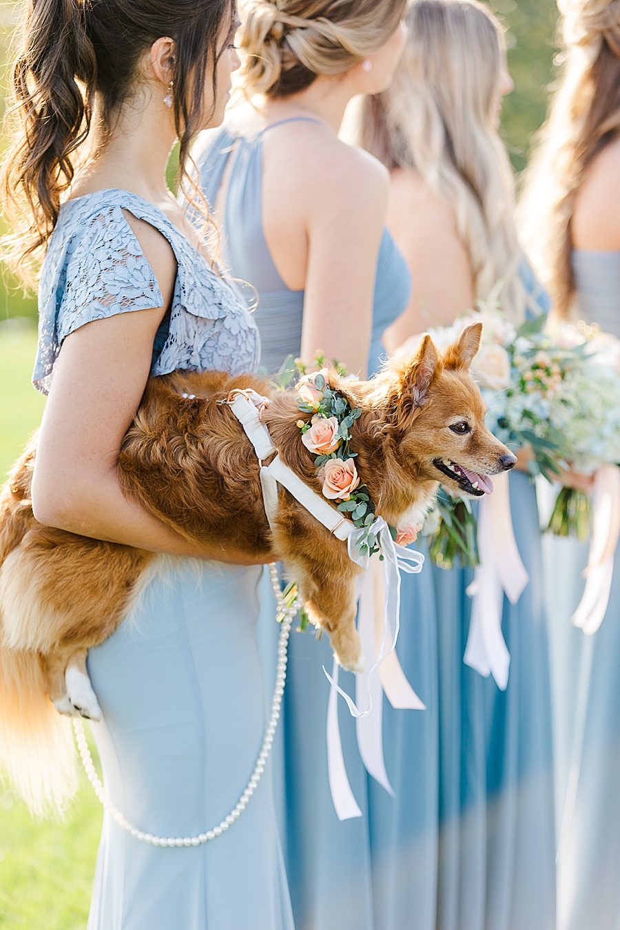 dog at ceremony at this windriver wedding