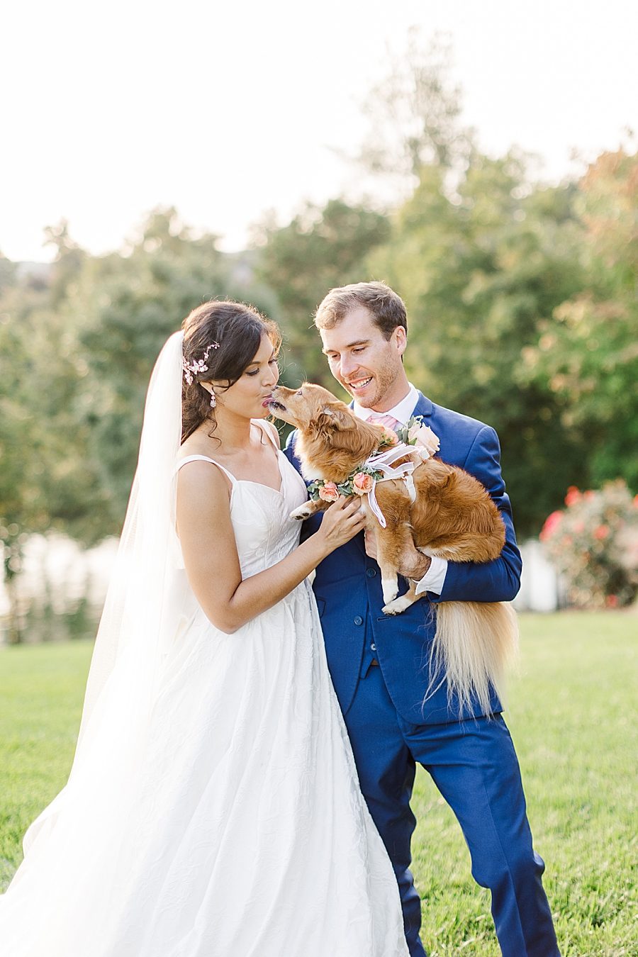 bride kissing dog at this windriver wedding