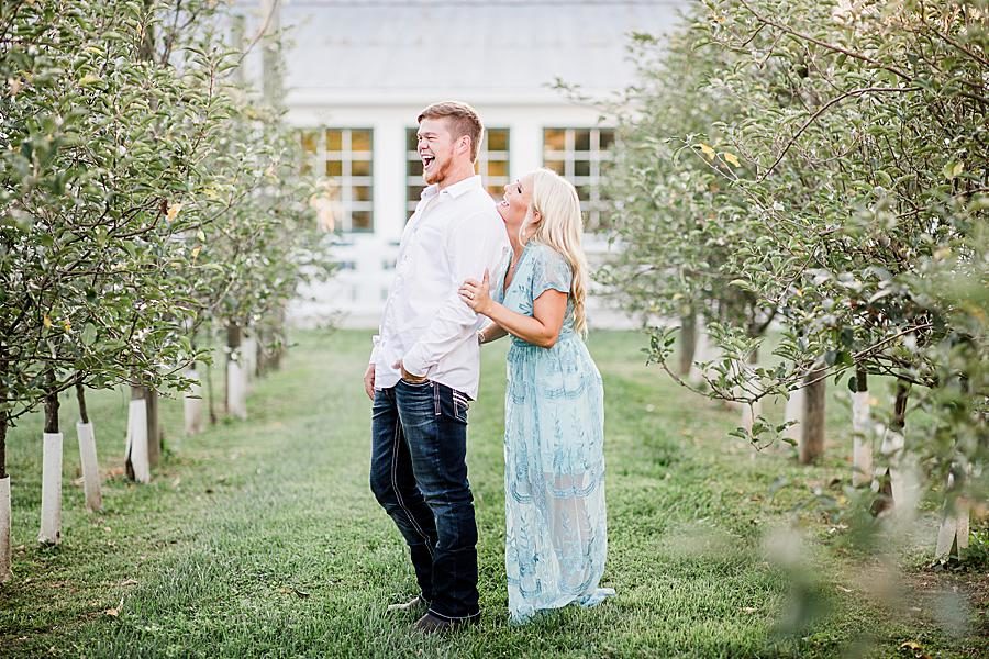 Apple orchard at this Apple Barn engagement by Knoxville Wedding Photographer, Amanda May Photos.
