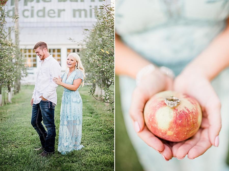 Holding apple and engagement ring at this Apple Barn engagement by Knoxville Wedding Photographer, Amanda May Photos.