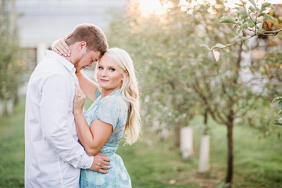 Golden hour at this Apple Barn engagement by Knoxville Wedding Photographer, Amanda May Photos.