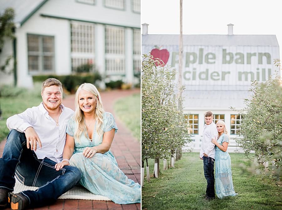 Standing in the orchard at this Apple Barn engagement by Knoxville Wedding Photographer, Amanda May Photos.