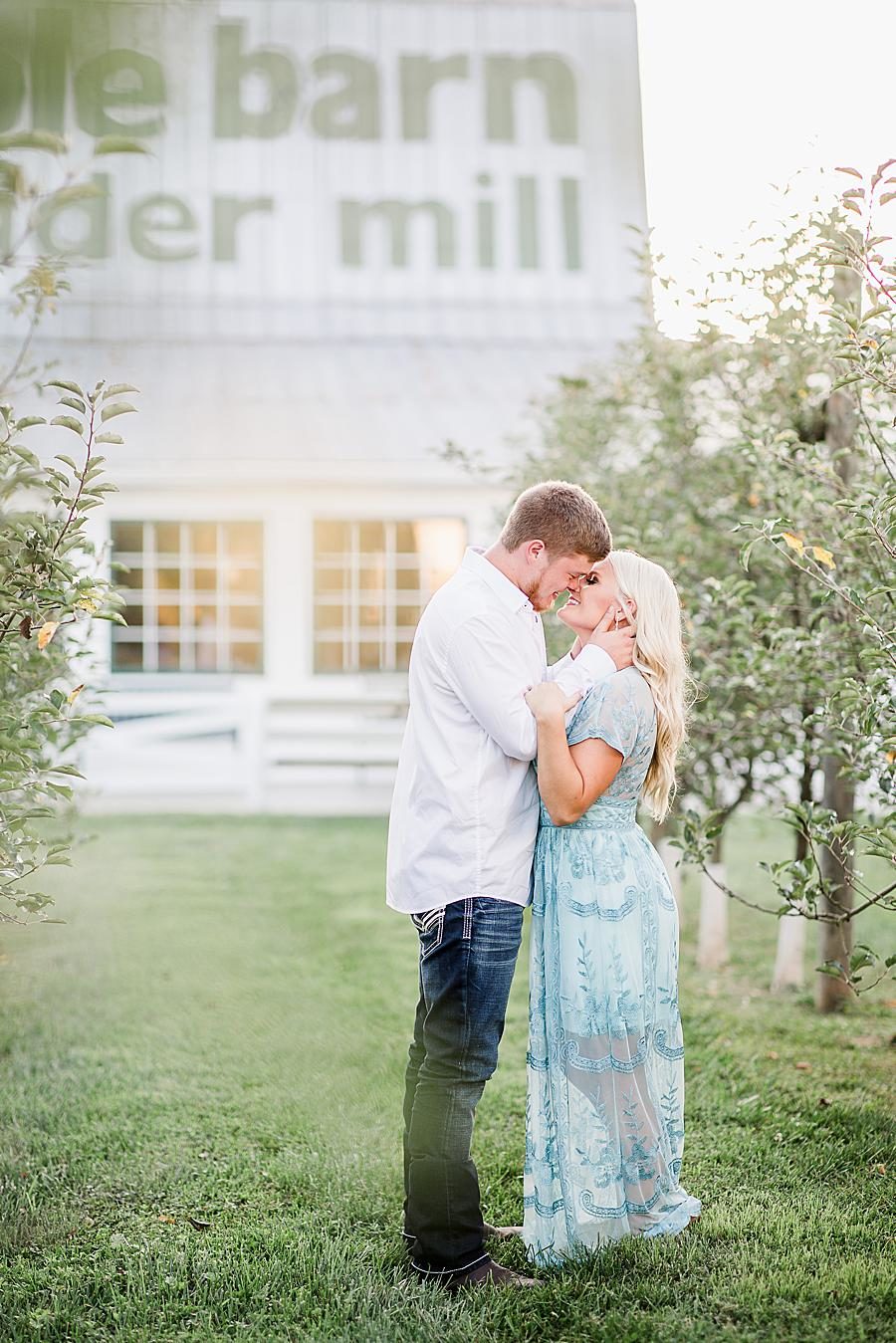 Kisses at this Apple Barn engagement by Knoxville Wedding Photographer, Amanda May Photos.
