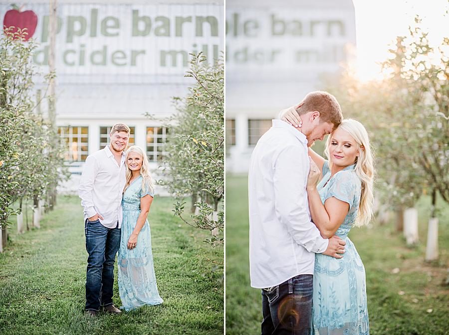 Sunset engagement at this Apple Barn engagement by Knoxville Wedding Photographer, Amanda May Photos.