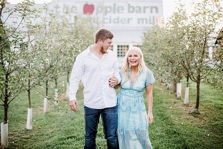 Holding hands in the apple orchard at this Apple Barn engagement by Knoxville Wedding Photographer, Amanda May Photos.